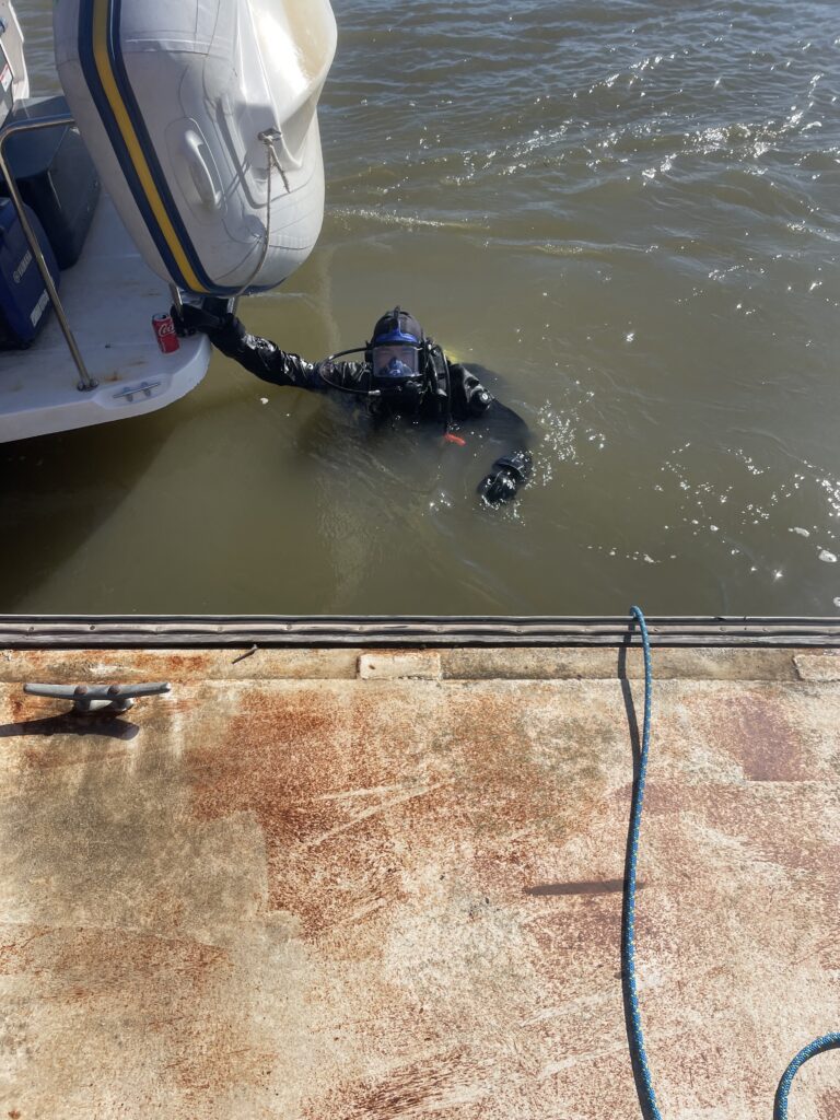 Dive